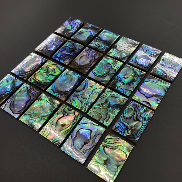 Abalone Shell Rectangle Flat 20x30mm (10/20/50pcs)