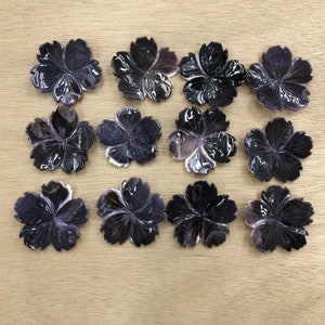 5pcs Wampum Quahog Shell Flower Shape Central Drilled