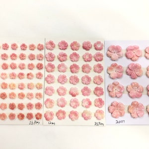 Puede incluir: Un conjunto de cabujones de flor de concha rosa de varios tamaños, dispuestos en tarjetas blancas. Las tarjetas están etiquetadas con los tamaños de los cabujones en milímetros: 8 mm, 10 mm, 12 mm, 15 mm, 20 mm y 25 mm.