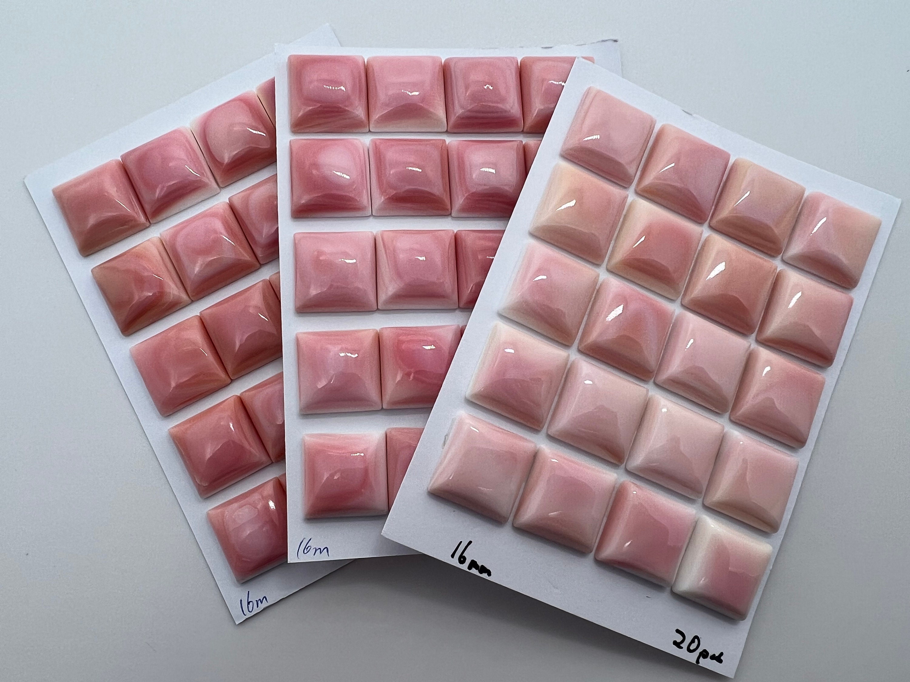 Shell Square Natural Pink Queen Conch Shell Square Cabochons (4-18mm) - Etsy