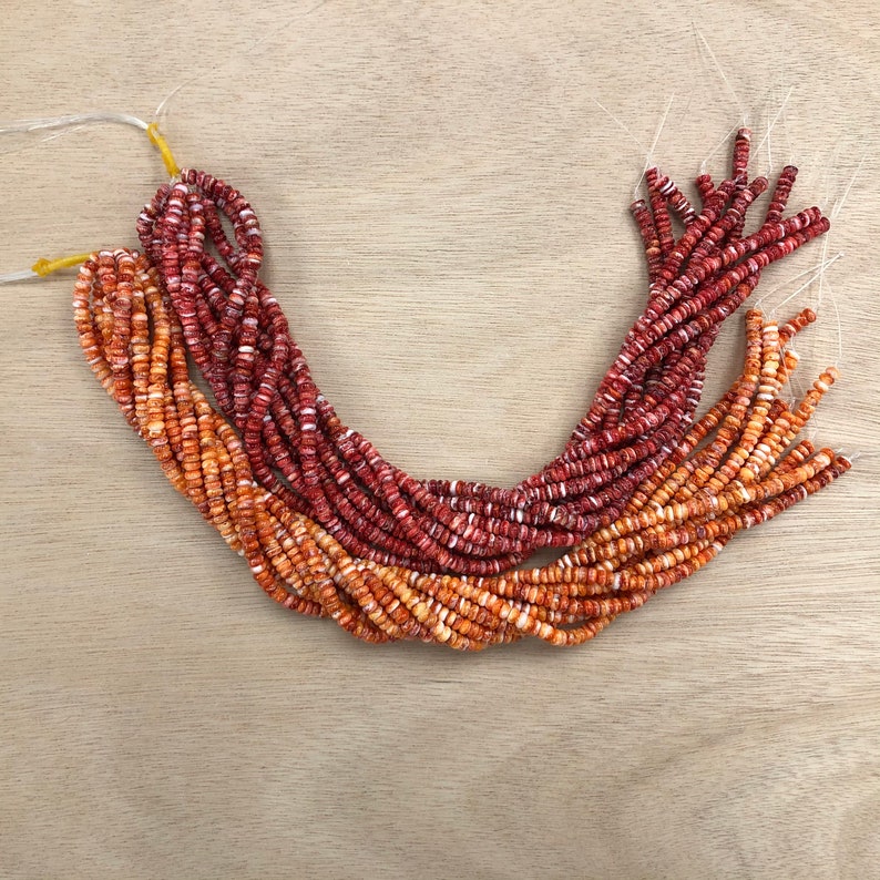 Seashell Rondells Natural Spiny Oyster Shell Rondelle Beads 6mm 16 Inches (orange/red) - Etsy