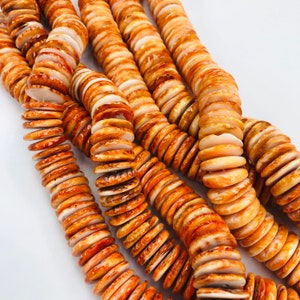 Spiny Oyster Shell Roundel Beads 25mm