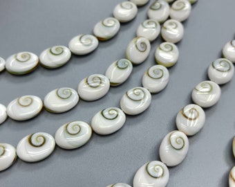 Ovale Perlen aus Shiva-Augenmuschel (10 x 12 mm 12 x 14 mm)