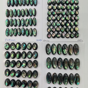 May include: Four cards with oval-shaped abalone shell pieces in various sizes. The cards are labeled with the dimensions and quantity of each piece. The pieces are iridescent with green, blue, and black colors.