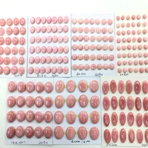 Pink Queen Conch Shell Oval Cabs 5x7mm~15x20mm