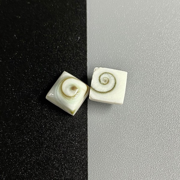 10pcs Shiva Eye Shell Cab Loose Pieces