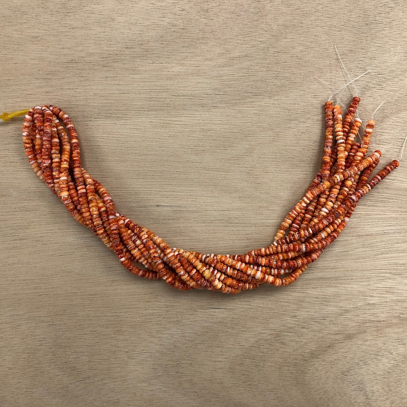 Seashell Rondells Natural Spiny Oyster Shell Rondelle Beads 6mm 16 Inches (orange/red) - Etsy