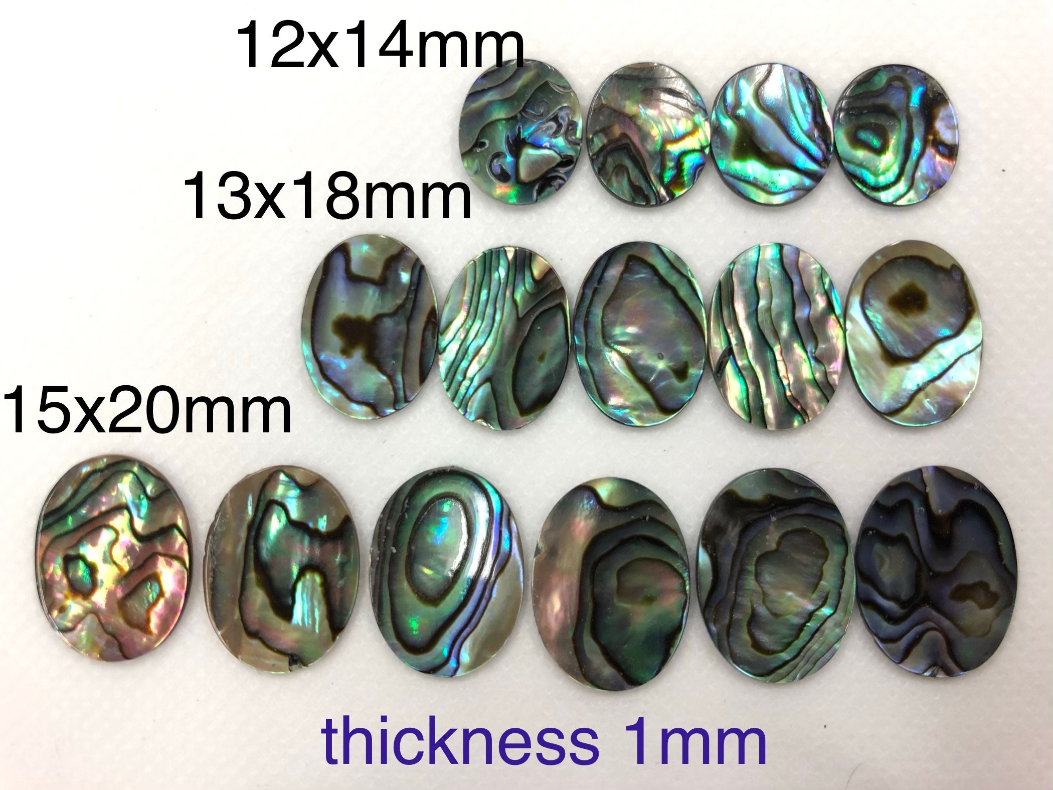 アワビ貝殻 10個 楕円形 平型 15 x 20 mm 厚さ 1 mm - Etsy 日本