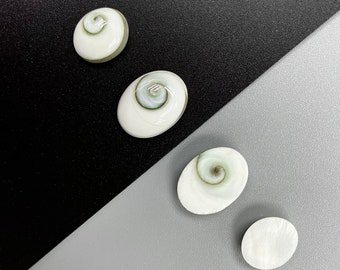 10 Stück Shiva-Augenmuscheln, oval, Cabochon, 10 x 12 mm, 12 x 16 mm
