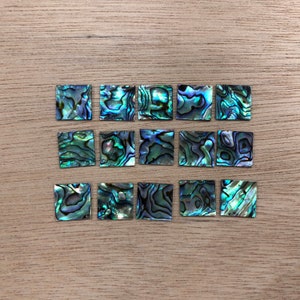 10pcs Abalone Shell Square Flat 12mm 15mm 18mm Thickness 1mm