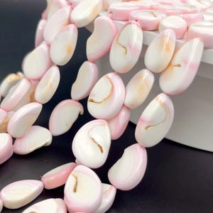 Queen Conch Fancy Swirl Pear Shape Strand (S/L)
