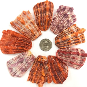 10pcs Spiny Oyster Shell Pendants (Orange/ Red) Free Size