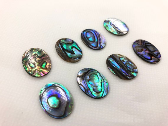 アワビ貝殻 10個 楕円形 平型 15 x 20 mm 厚さ 1 mm - Etsy 日本