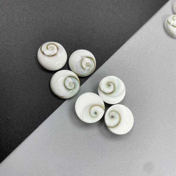 10pcs Shiva Eye Shell Round Cab 8mm 12mm 14mm