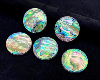 Natural Abalone Shell Round Cab Loose Piece 2pcs