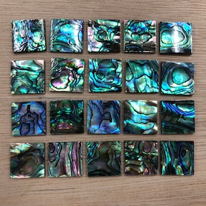 10pcs Abalone Shell Square Flat Loose Piece 20mm Thickness 2mm