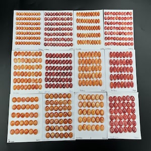 May include: A collection of 10 rows of oval-shaped, polished, natural shell cabochons in various shades of orange, red, and brown. The cabochons are arranged in rows on white cards with black text labels.