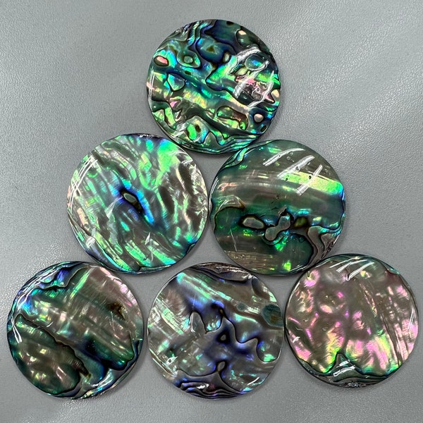 Natural Abalone Shell Loose Piece (4pcs)