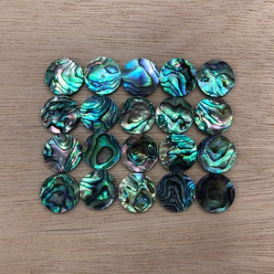 10 coquilles d'ormeau rondes plates 20 mm