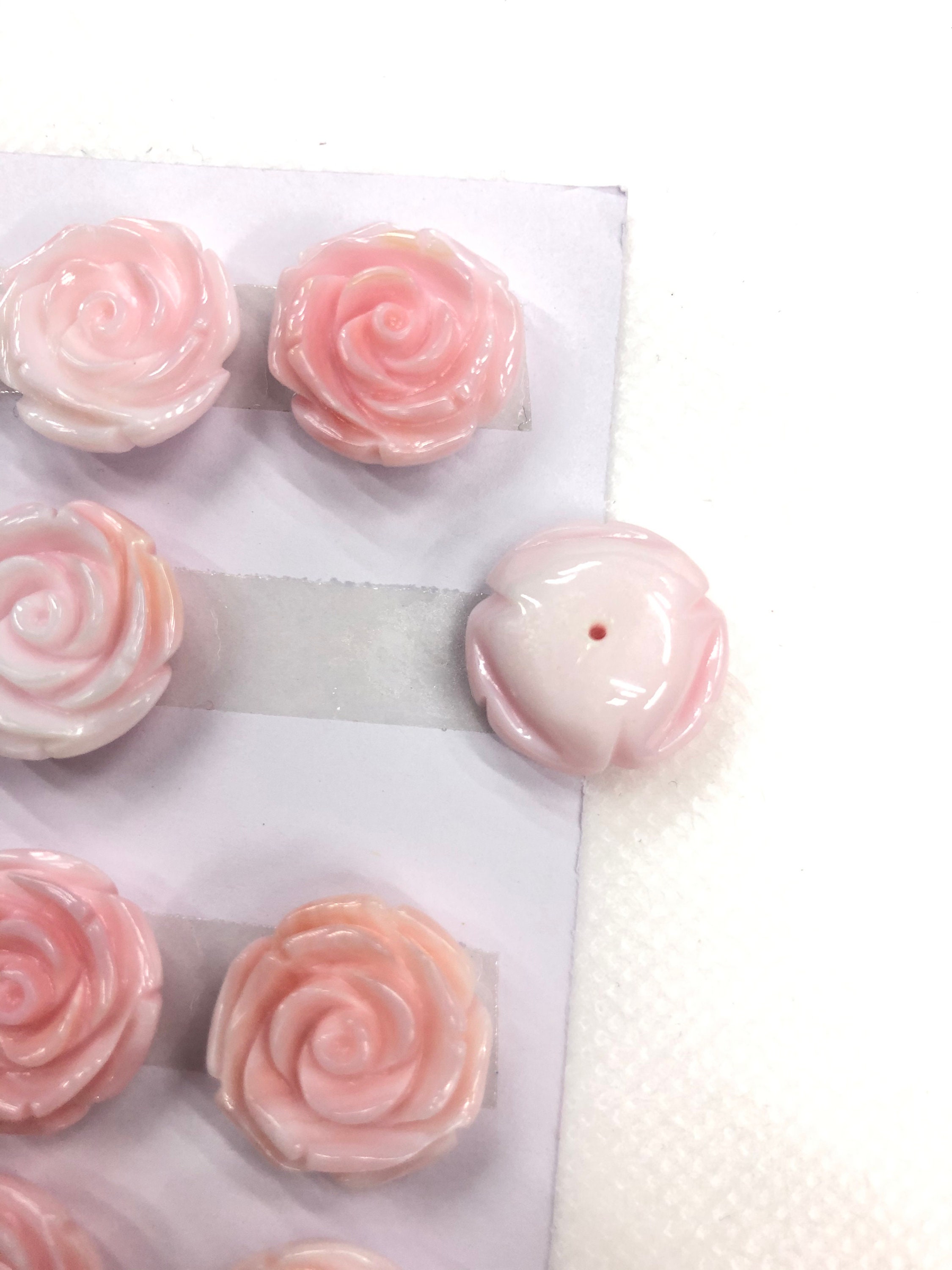 Conch Shell Roses Pink Queen Conch Shell Rose Half Drilled 10mm 12mm 15mm 18mm - Etsy Canada