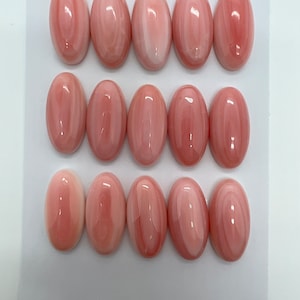 Natural Queen Conch Oval Cab 12x19.5-20mm 20x30mm 25x35mm