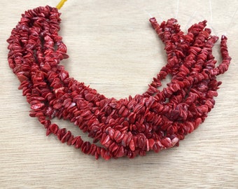 High quality Red Spiny Oyster Shell Chip