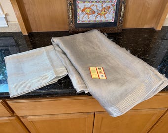Silver Tissue Tussar Silk Saree: Handwoven, "Silk Mark" Certified