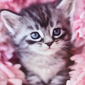 May include: A close-up of a grey and white tabby kitten with bright blue eyes, set against a backdrop of pink flowers. The kitten's fur appears soft and fluffy. The image evokes a sense of warmth and tenderness.