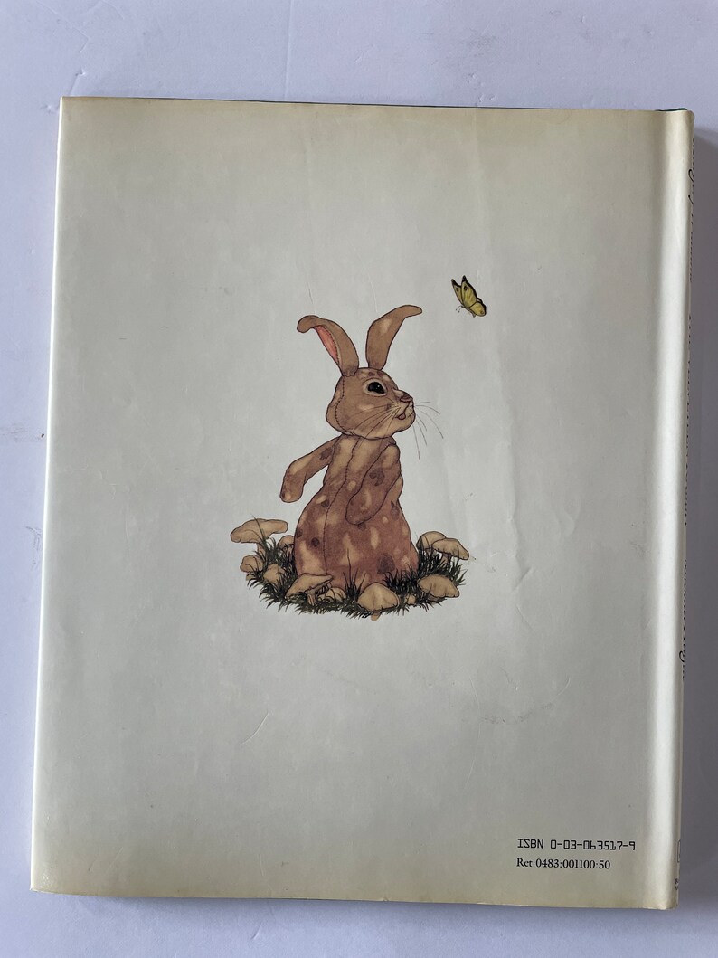 The Velveteen Rabbit Illus. by Michael Hague, 1983, 1st Edition - Etsy