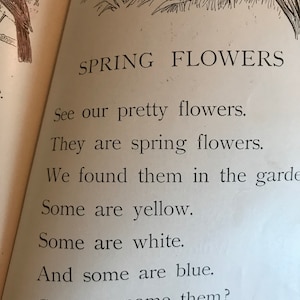 May include: A black and white illustration of a bird on a branch with text that reads "SPRING FLOWERS" and a poem about spring flowers. The poem reads: "See our pretty flowers. They are spring flowers. We found them in the garden. Some are yellow. Some are white. And some are blue. Can you name them? 87"