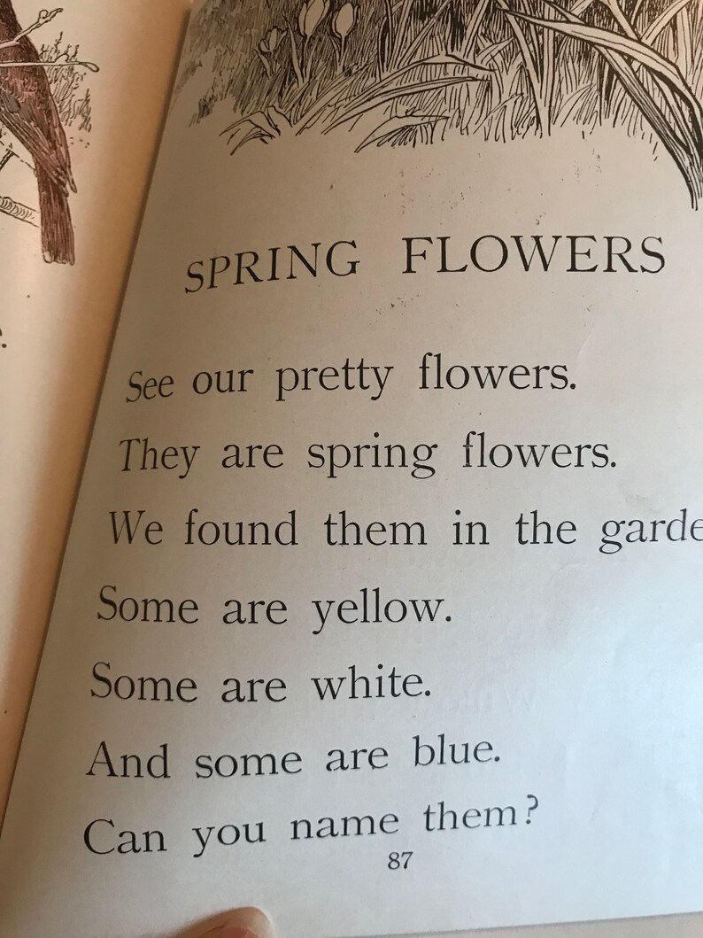 May include: A black and white illustration of a bird on a branch with text that reads "SPRING FLOWERS" and a poem about spring flowers. The poem reads: "See our pretty flowers. They are spring flowers. We found them in the garden. Some are yellow. Some are white. And some are blue. Can you name them? 87"