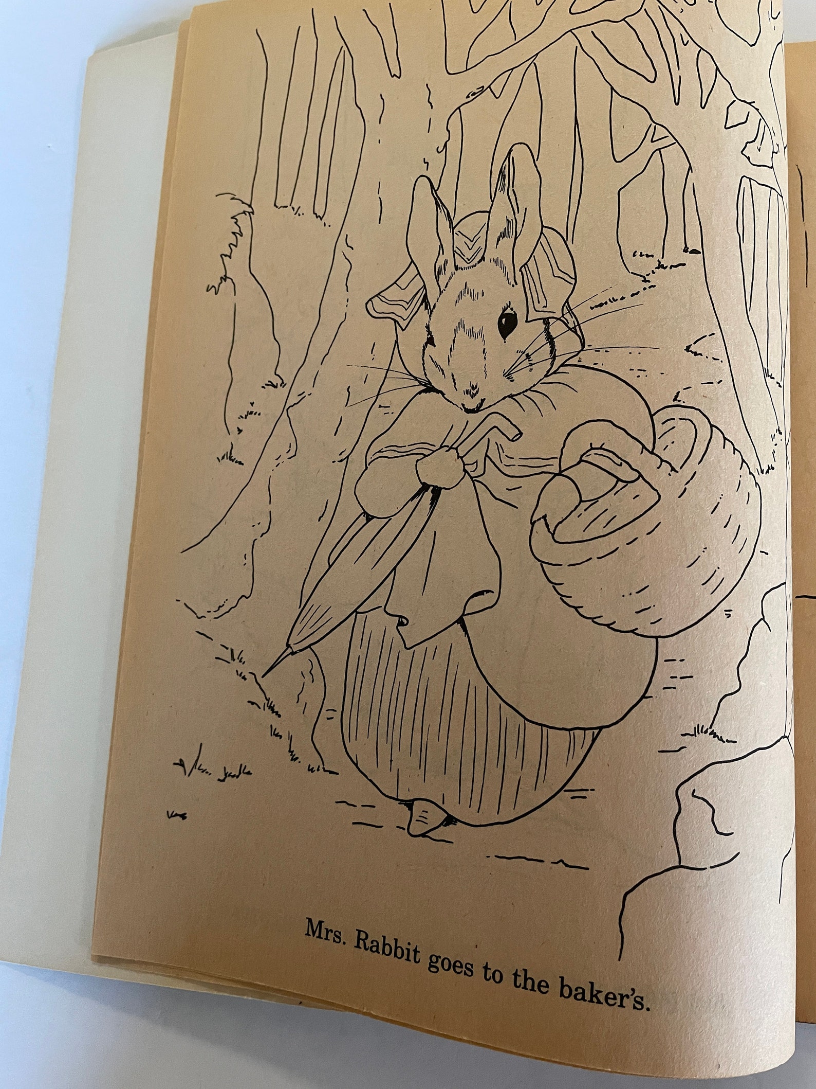 Peter Rabbit and Benjamin Bunny Coloring Book by Beatrix Potter, Unused ...