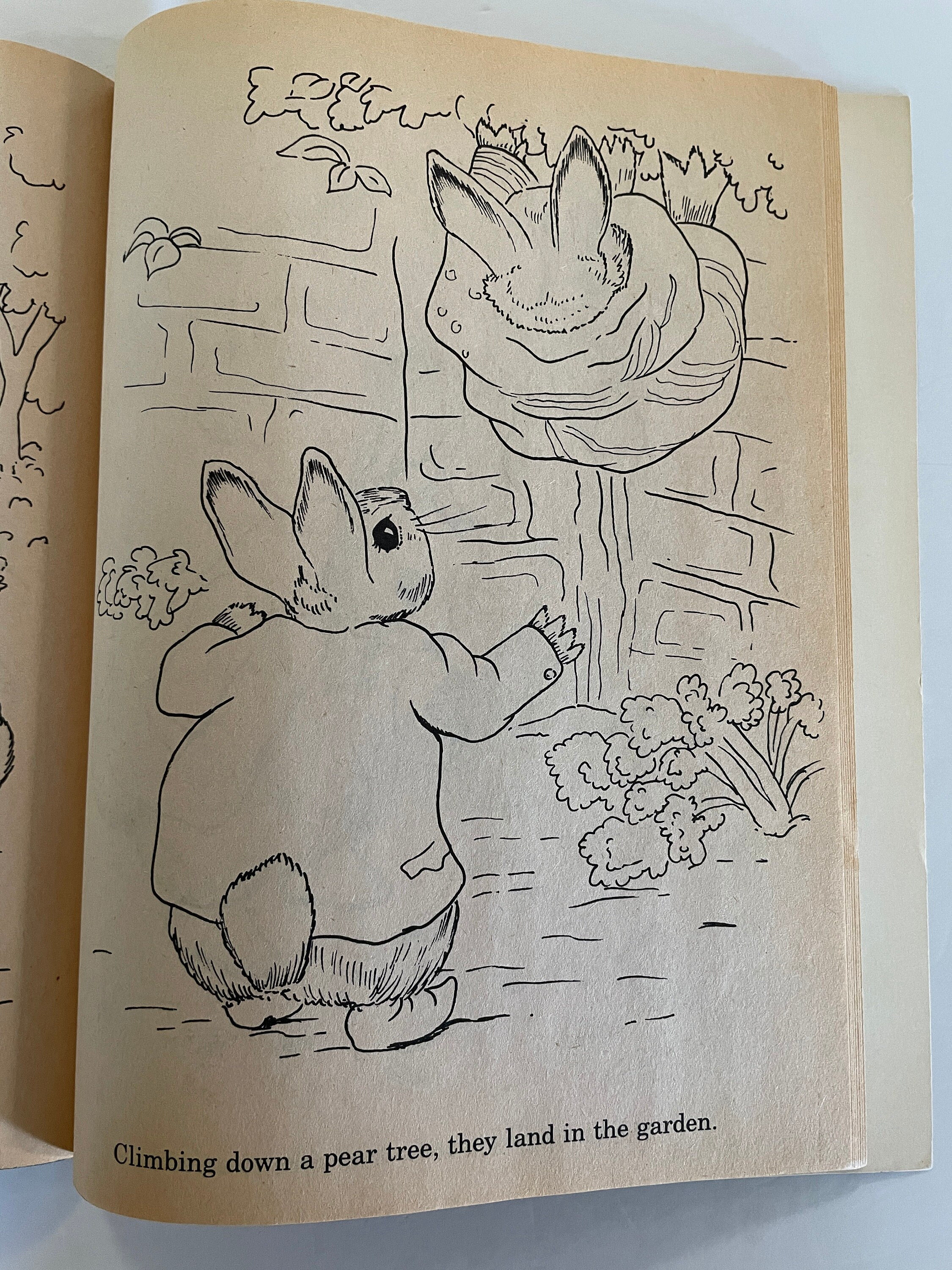 Peter Rabbit and Benjamin Bunny Coloring Book by Beatrix Potter, Unused ...