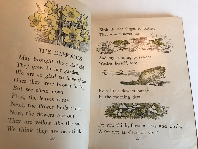 May include: A vintage children's book page with illustrations and text. The text reads "The Daffodils" and describes the flowers growing in a garden. The illustrations show daffodils, a cat washing itself, and small flowers.