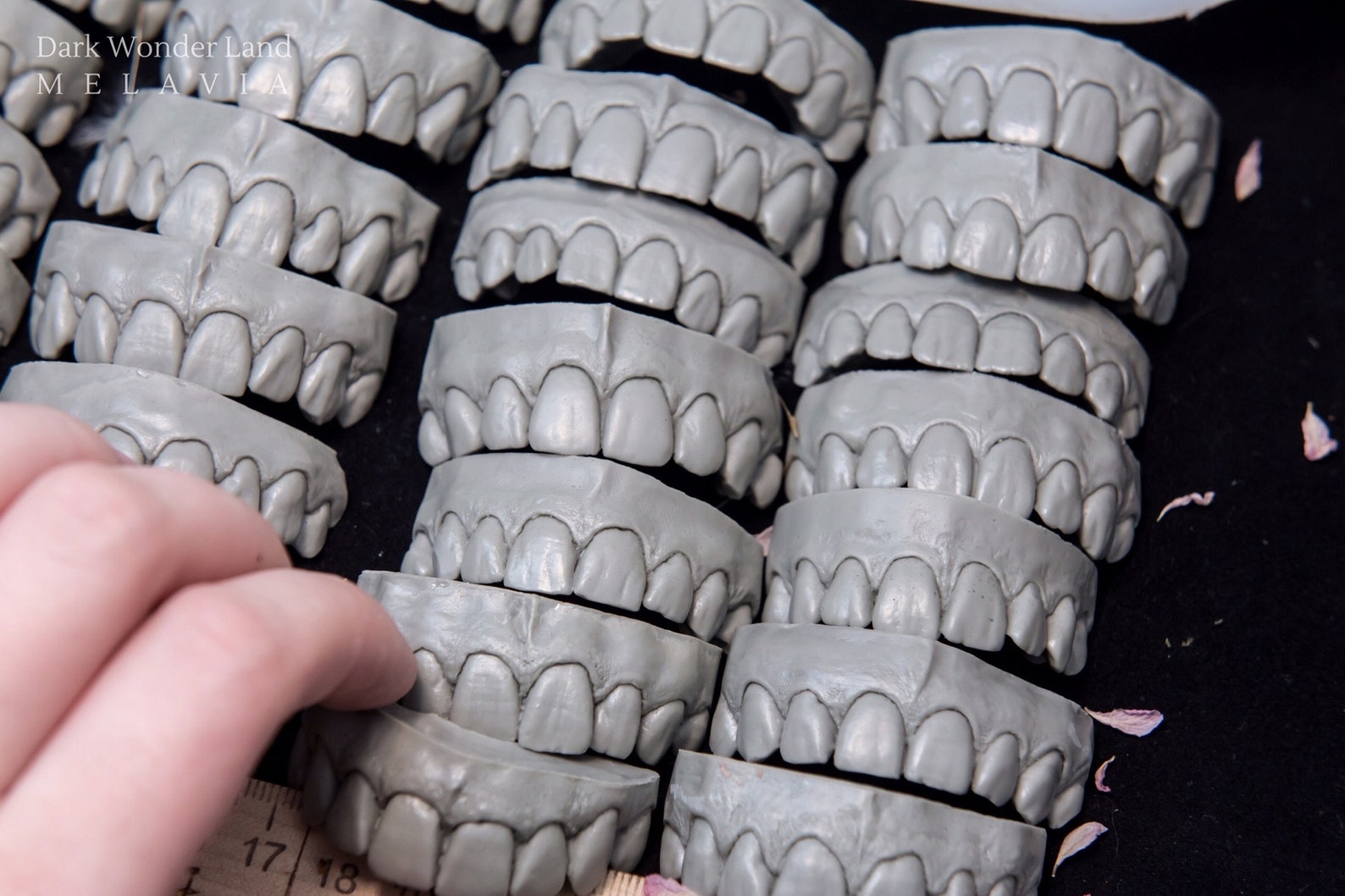Mold upper teeth 27 pcs Etsy