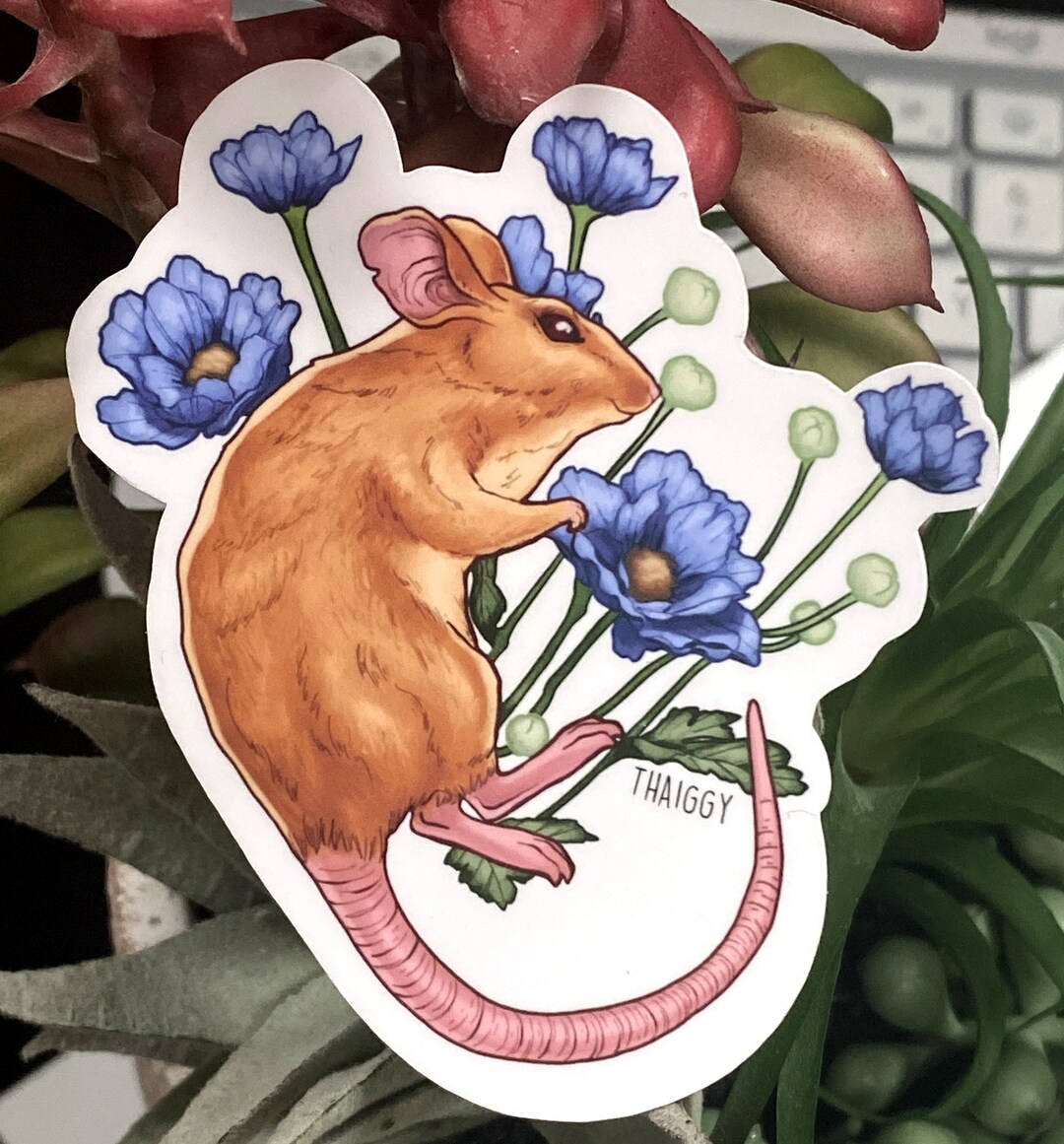 Field Mouse Blue Flower Die Cut Laminate Vinyl Sticker - Etsy Canada