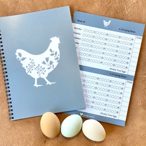 Eierproductie Tracker Kip Ei Grafiek Kinderklusjes Dagboek Boerderij Thuisonderwijs Kip Materialen voor Homesteading Moeder Kip Grafiek Kosten