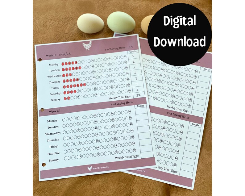 Printable Chicken Egg Record Sheet Egg Production Tracking Template ...