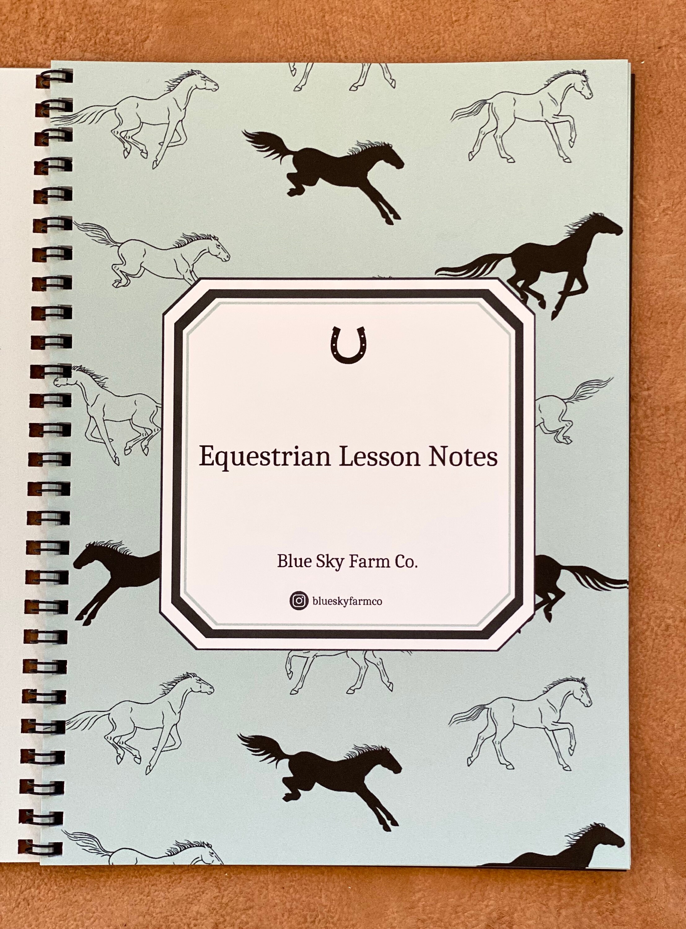 Personalized Horse Lesson Note Journal Equestrian Journal Horse ...