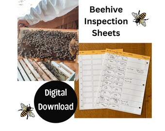 Easy Beekeeping Hive Inspections Honeybee Printable Beginner Beekeeper Simple Guide Beekeeping Maintenance Bee Hive Honey Comb Basic Apiary