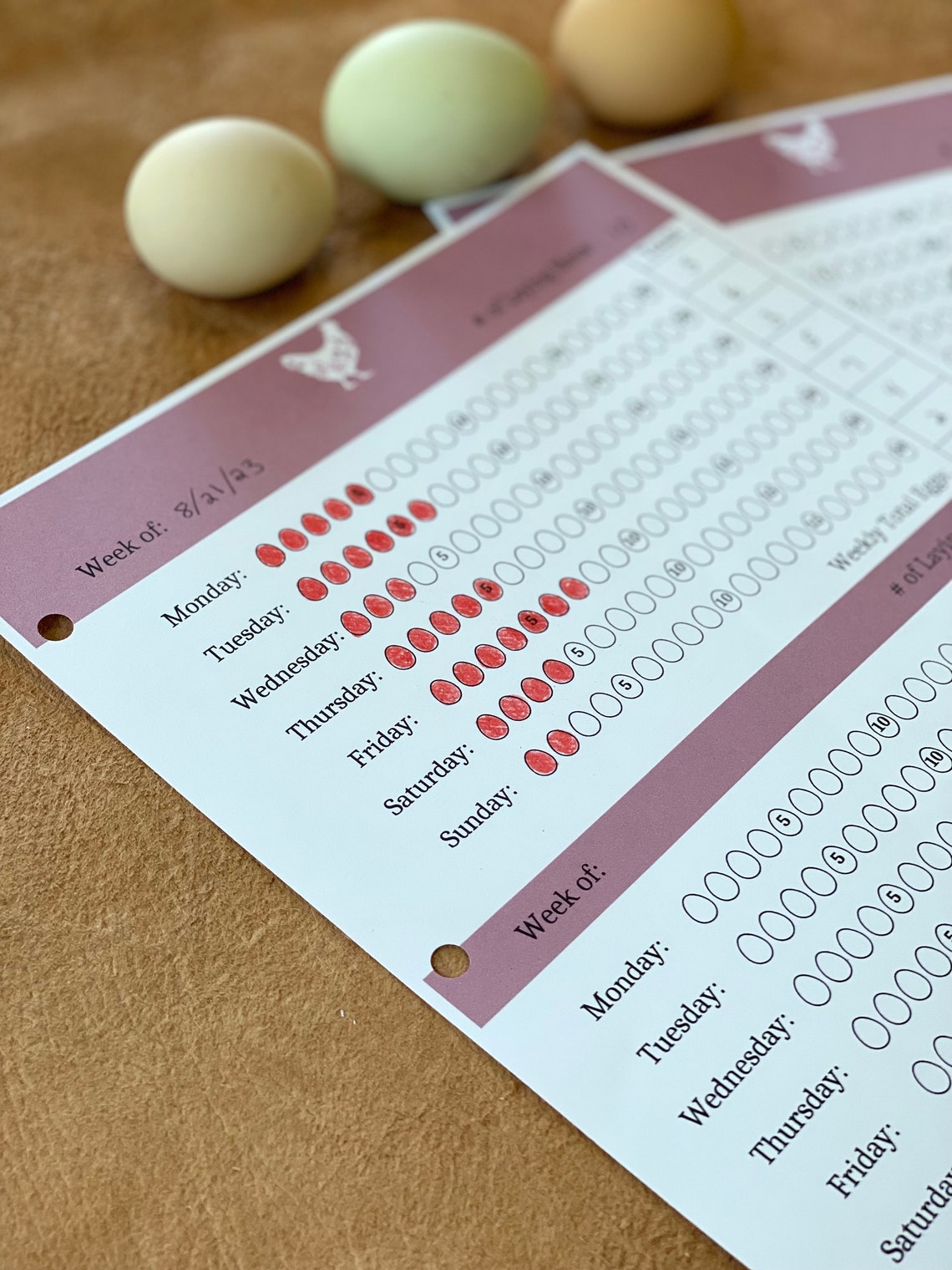 Printable Chicken Homestead Sheet Chicken Egg Tracker Beginner Chicken ...