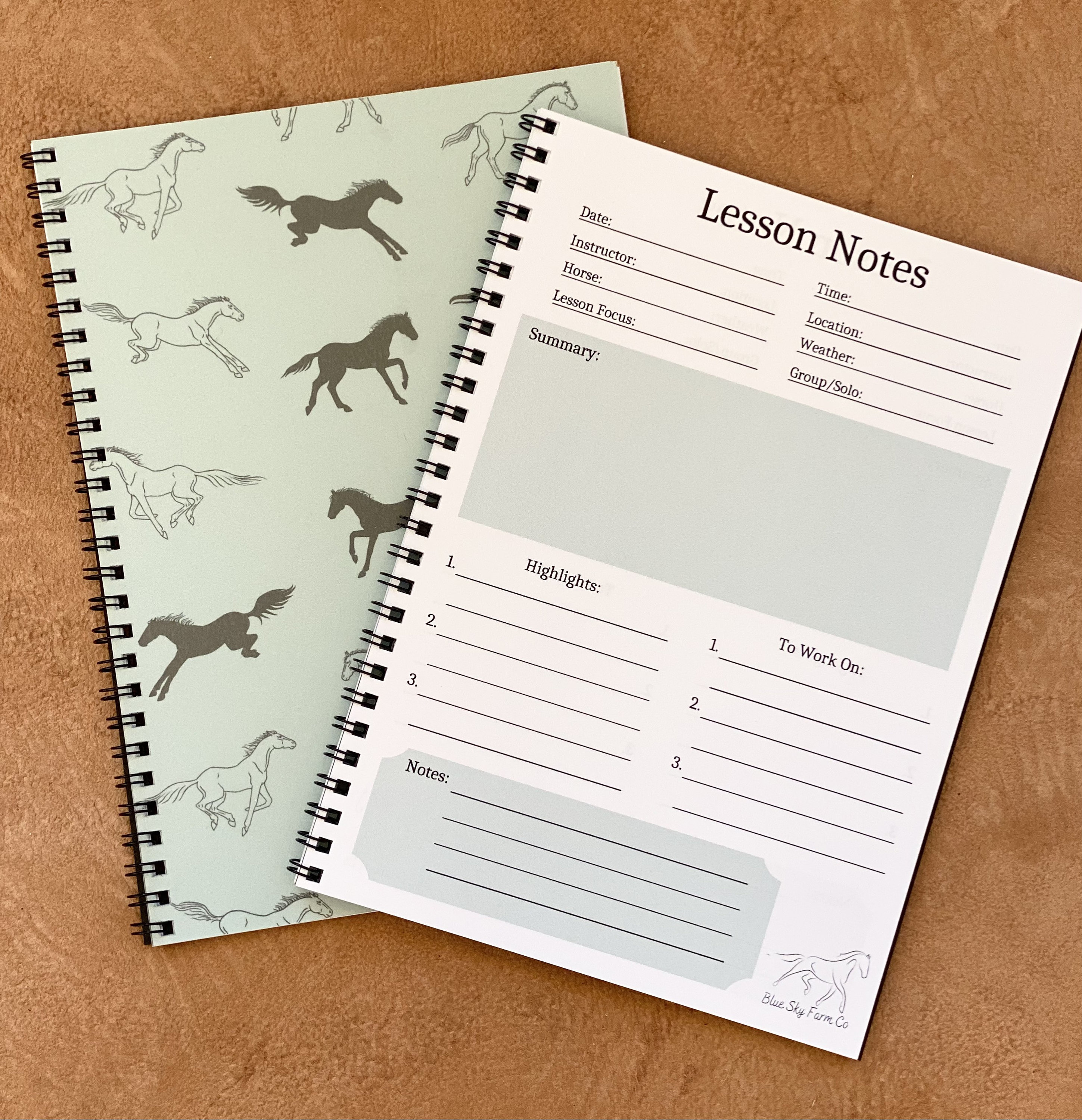 Equestrian Lesson Journal Equestrian Journal Horse Training Log ...
