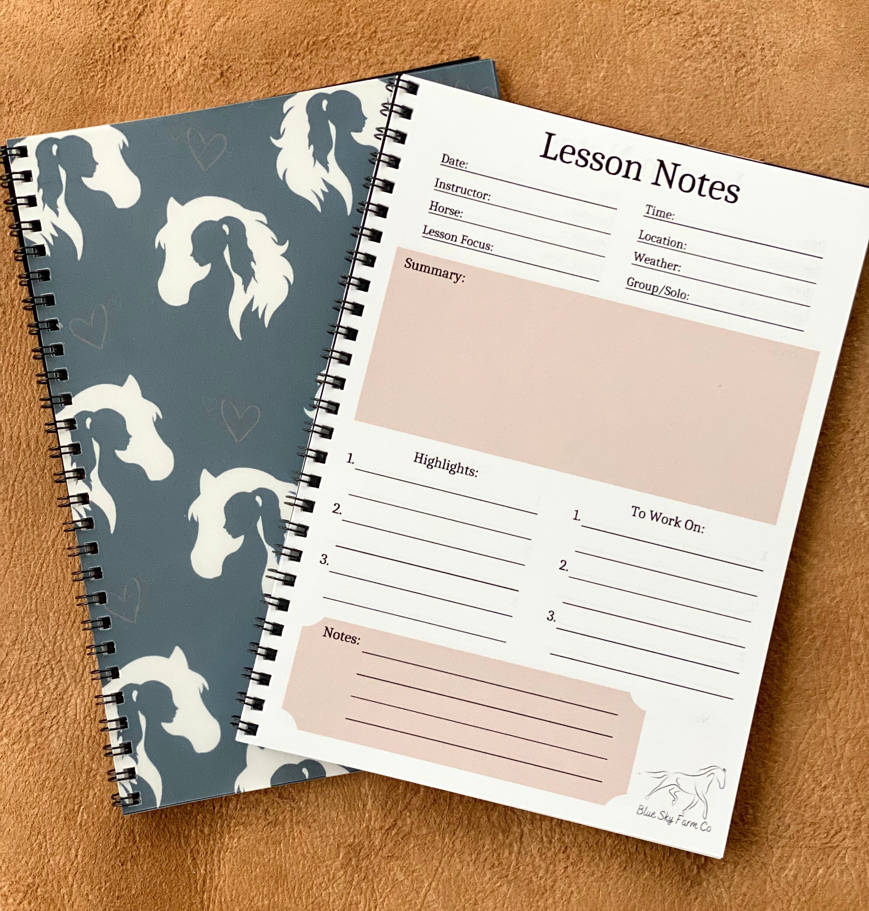 Equestrian Lesson Journal Equestrian Journal Horse Training Log