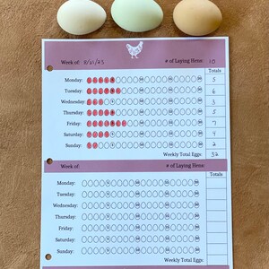 Printable Chicken Homestead Sheet Chicken Egg Tracker Beginner Chicken ...