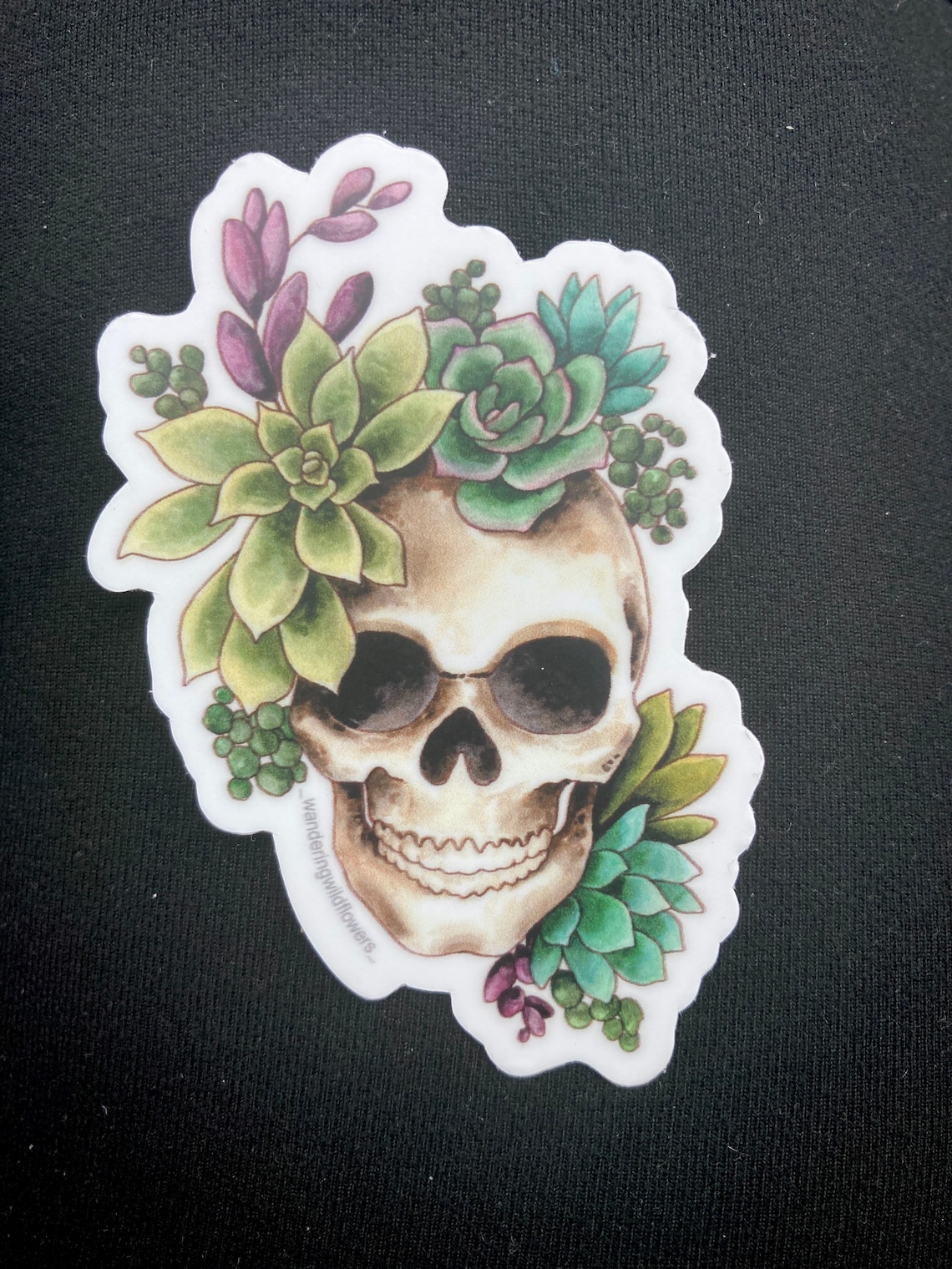 Green and Purple Succulent Skull Vinyl Waterproof Sticker Etsy
