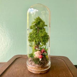 May include: A miniature terrarium featuring a small tree with green foliage, red flowers, and a mushroom, enclosed in a clear glass dome. The base is made of cork and soil, creating a miniature landscape.