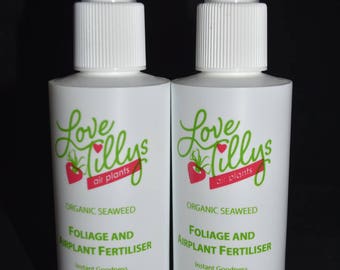 2 x Air Plant organic fertilizer - 150ml bottle of food for your tillandsia airplant house plant fertiliser