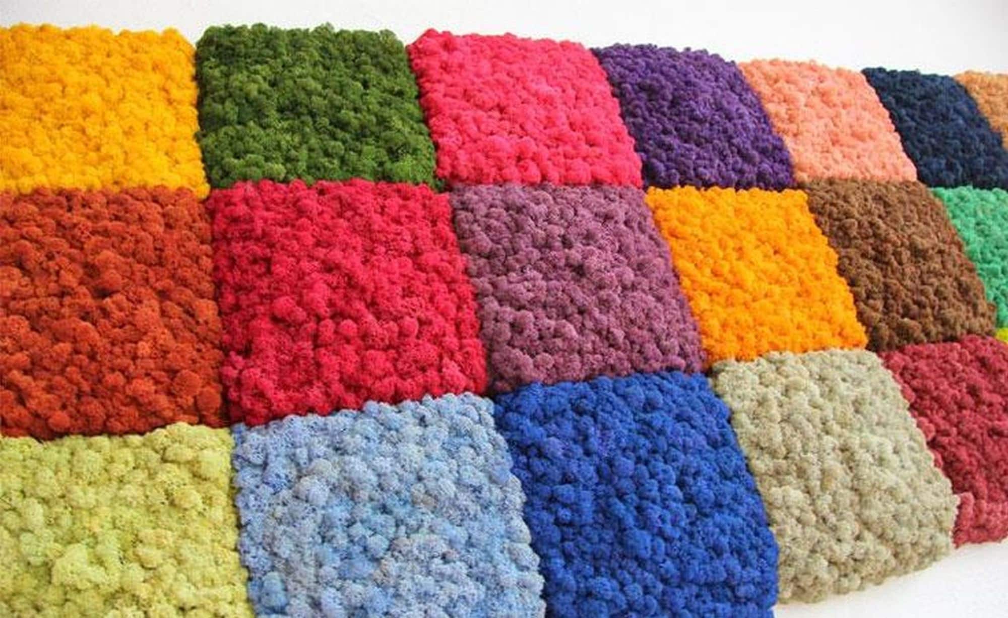 Artificial Moss ALL COLOURS Preserved Reindeer Moss for Etsy UK