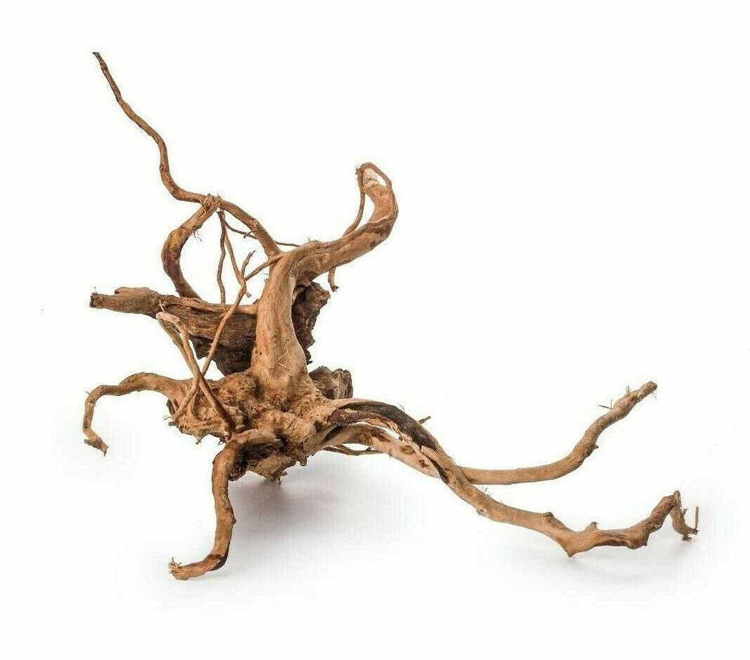 1 X Redmoor Wood Root 2030cm Aquarium Bogwood for Fish Etsy
