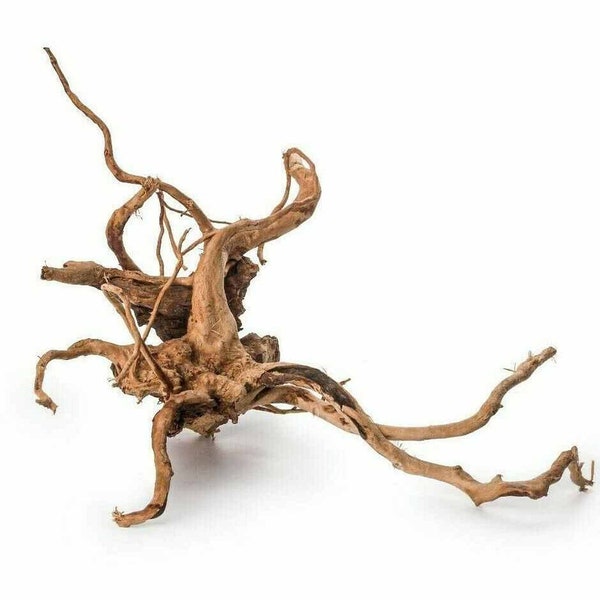 1 x Redmoor Wood Root (20-30cm) - Aquarium Bogwood for fish tank, catfish cave or hide, for Java Fern or Moss live plant